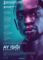 Ay Işığı (2016)