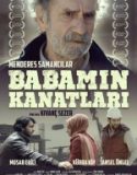 Babamın Kanatları