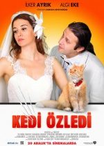 Kedi Özledi