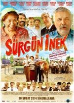 Sürgün İnek